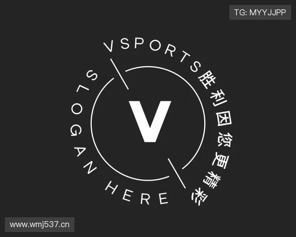 介绍VSPORTS胜利因您更精彩